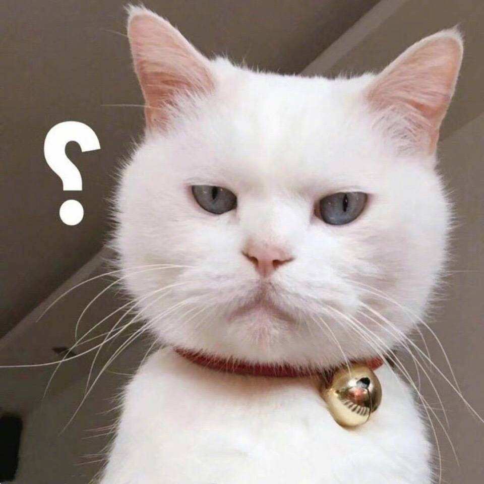 问好猫_1_circle_fw2Vf46020